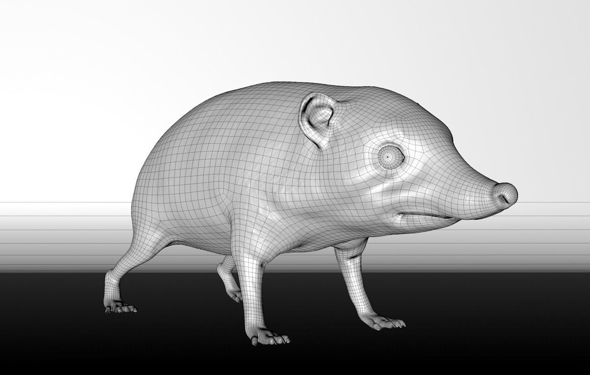 Hedgehog 3D model_13