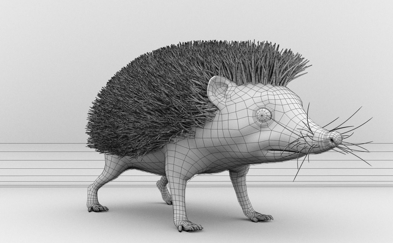 Hedgehog 3D model_11