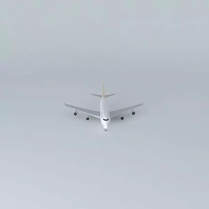 Plane in Viracopos 3D model