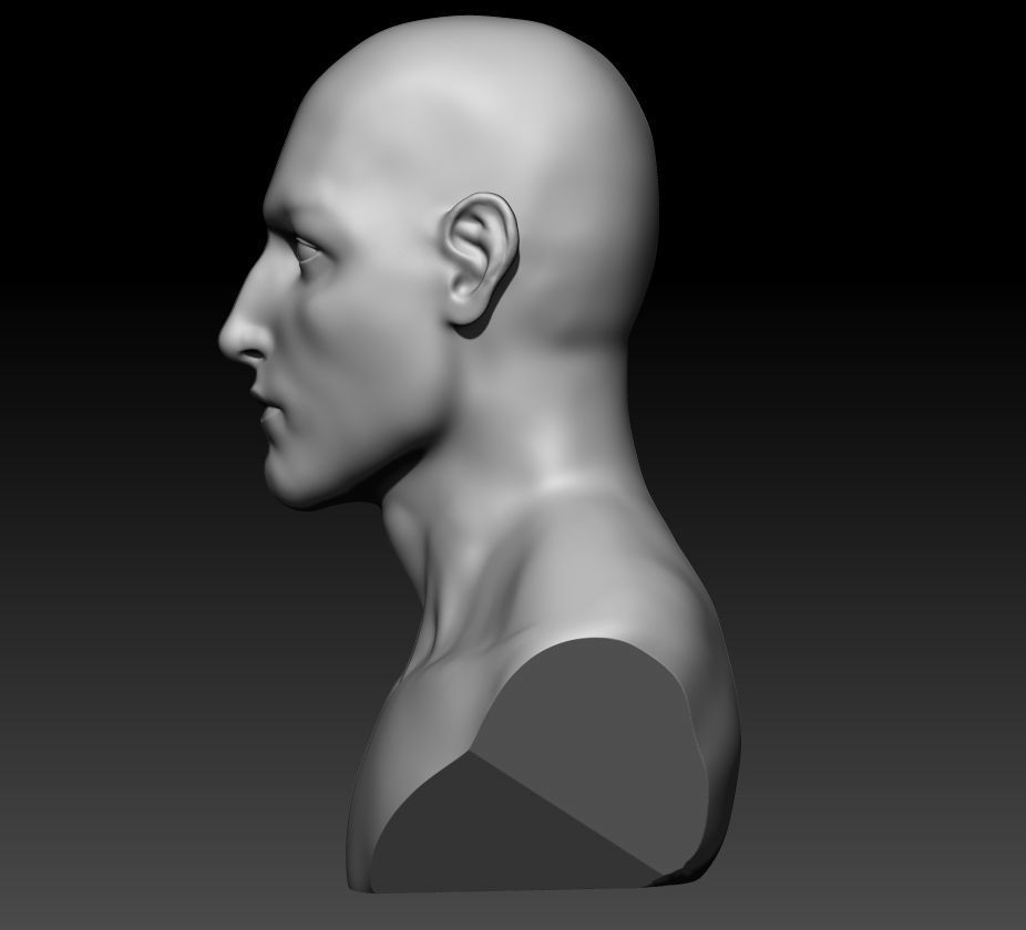 Man Bust 3D model_2