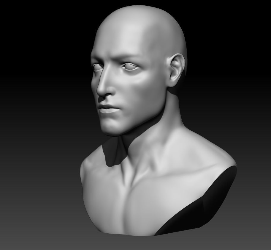Man Bust 3D model_1