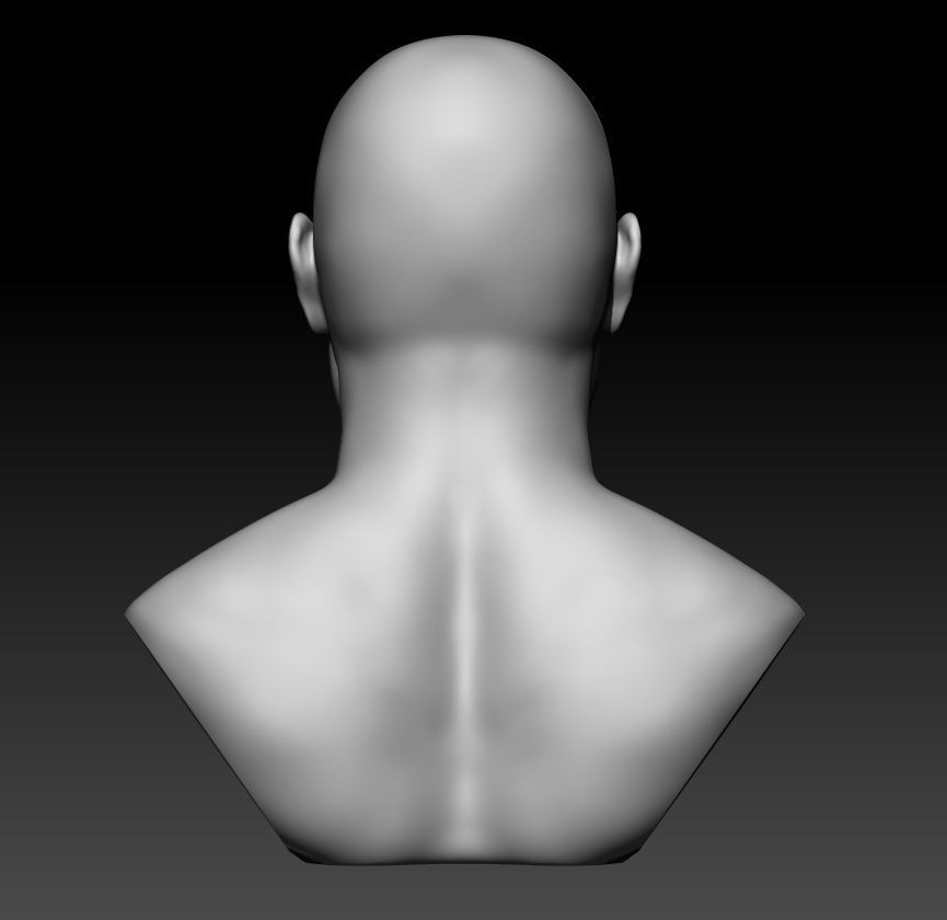 Man Bust 3D model_3