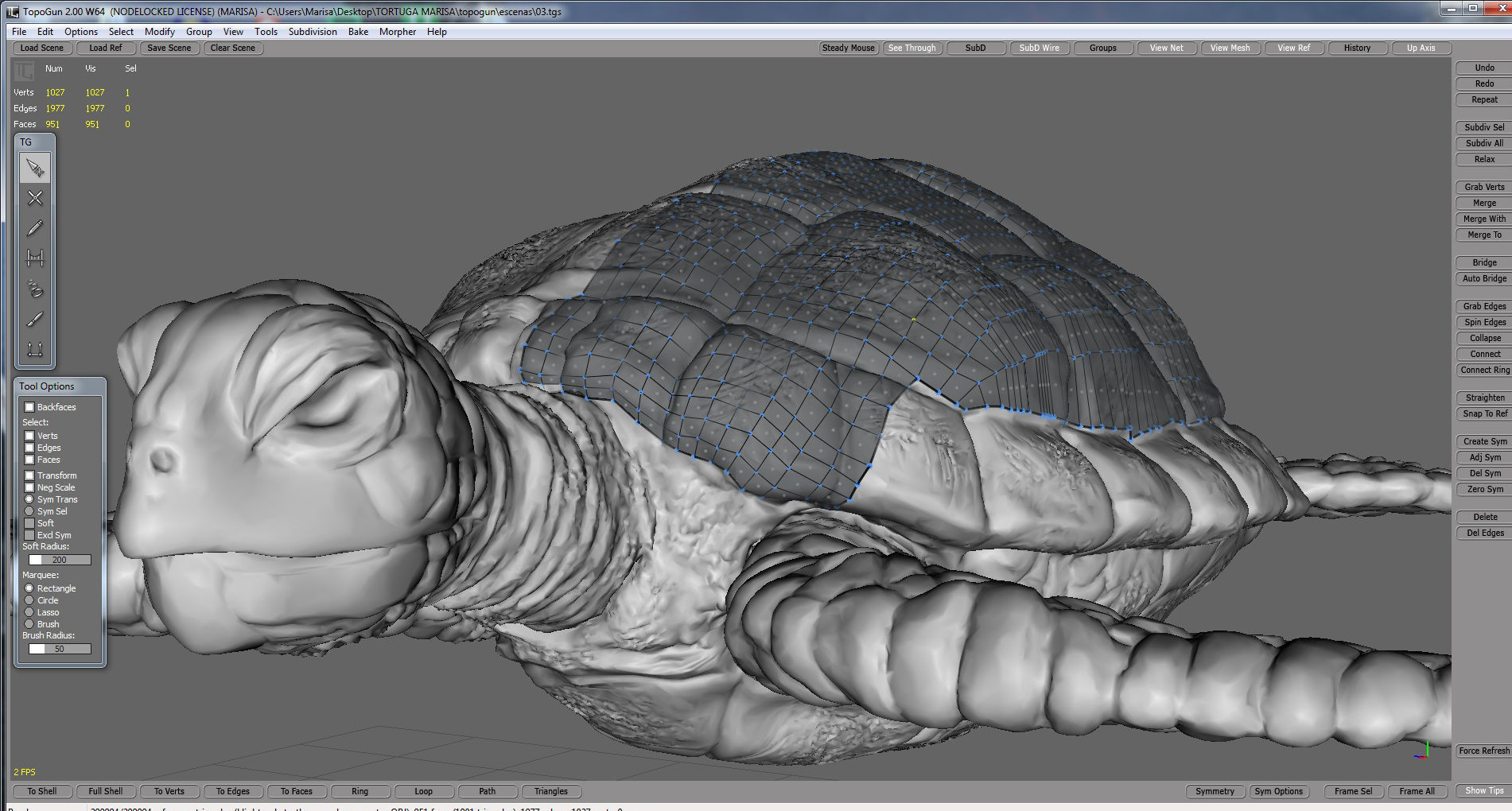 3D Model Sea Turtle Low-poly 3D model_4