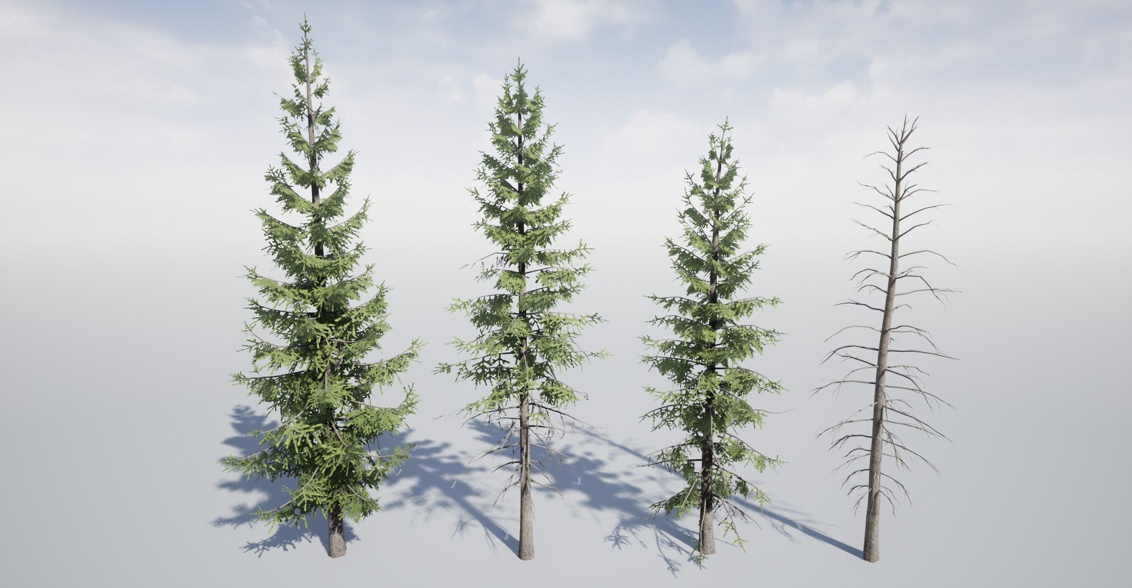 Realistic Spruce Fir Trees for games Low-poly 3D model_6