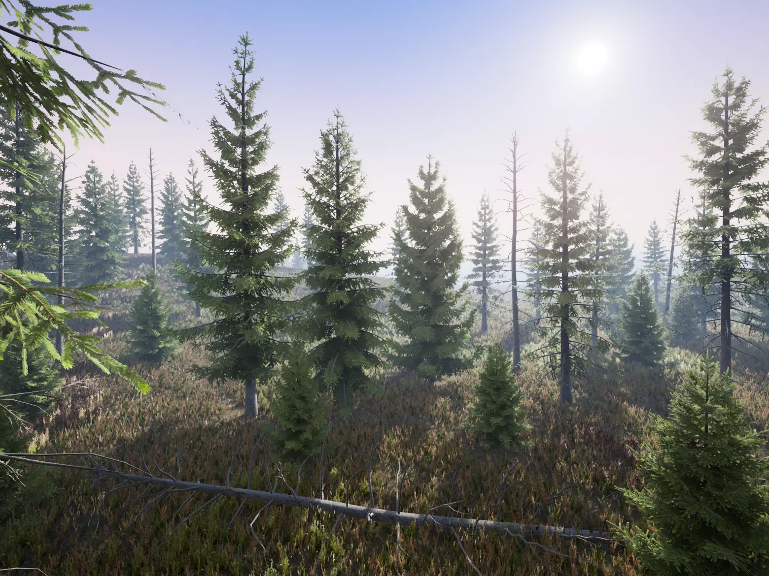 Realistic Spruce Fir Trees for games Low-poly 3D model_0