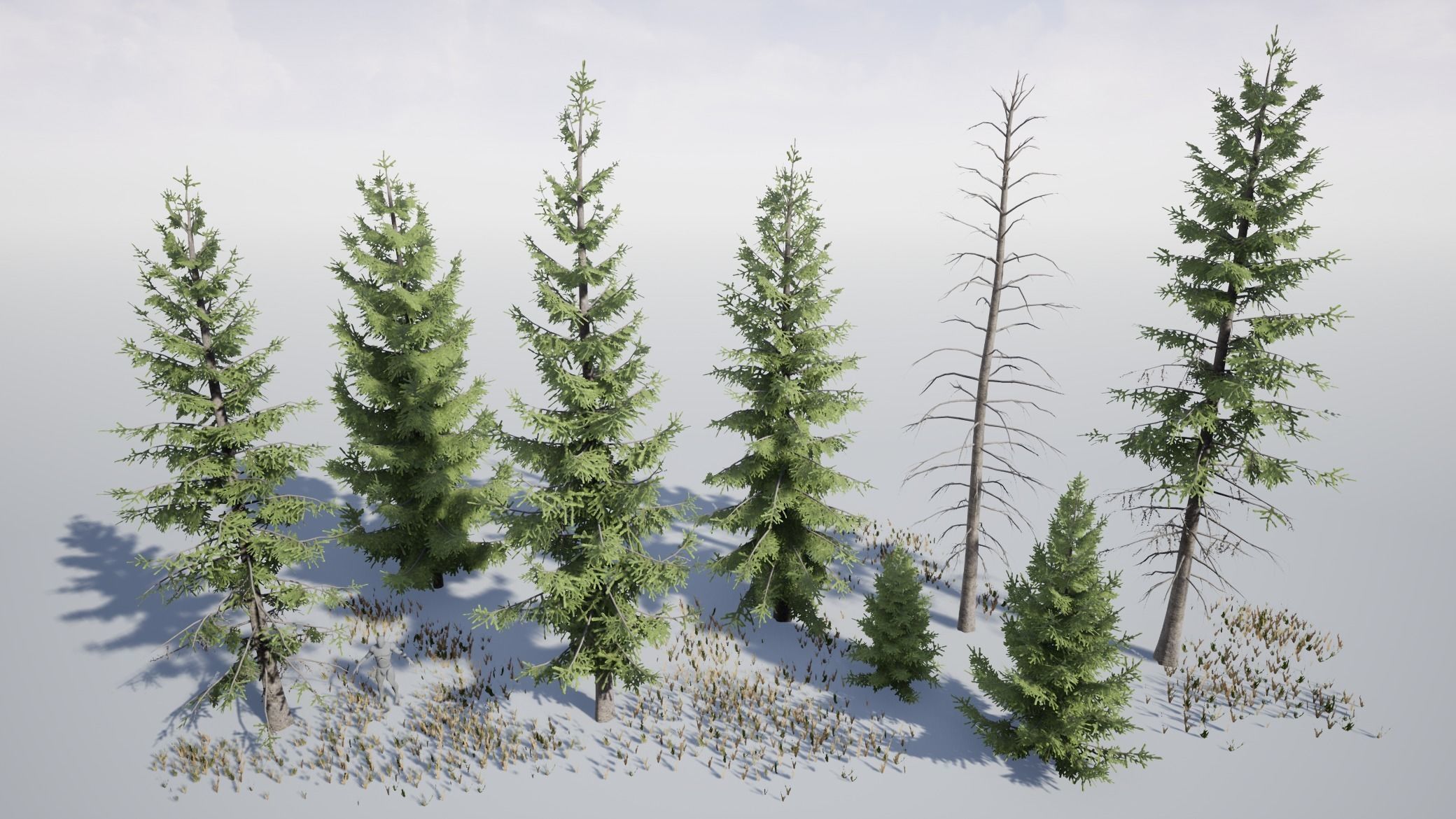 Realistic Spruce Fir Trees for games Low-poly 3D model_1