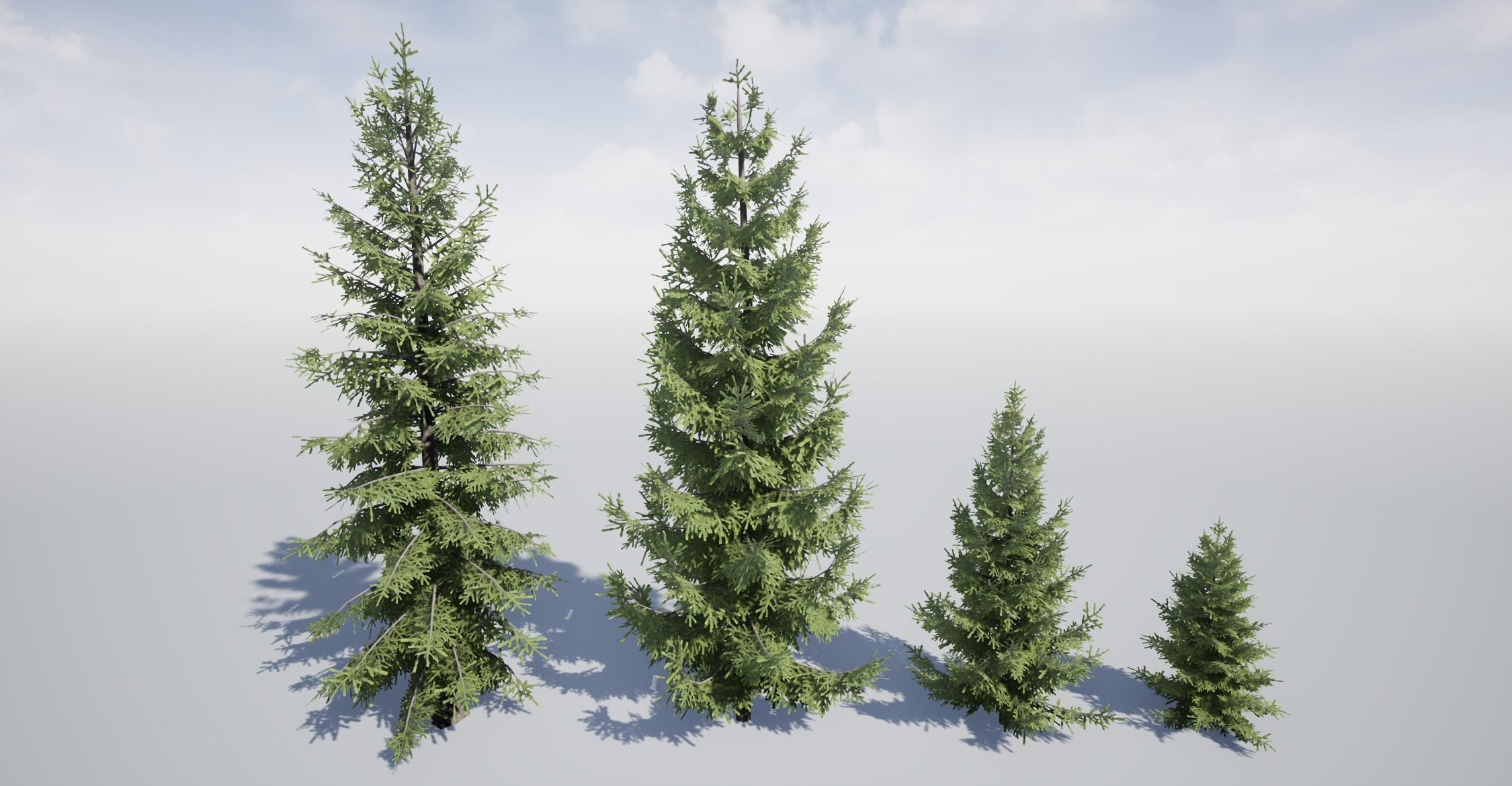 Realistic Spruce Fir Trees for games Low-poly 3D model_5