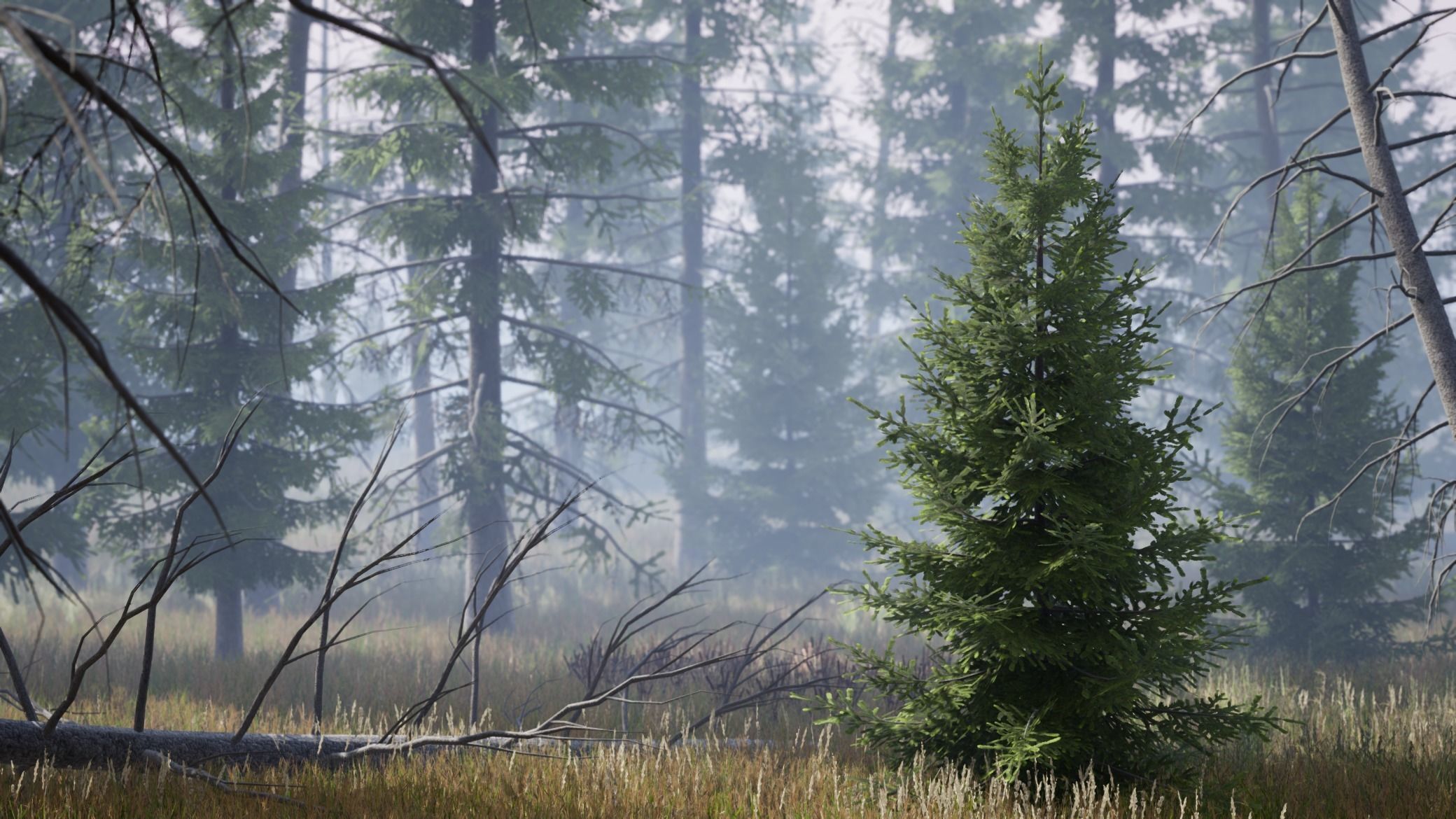 Realistic Spruce Fir Trees for games Low-poly 3D model_3