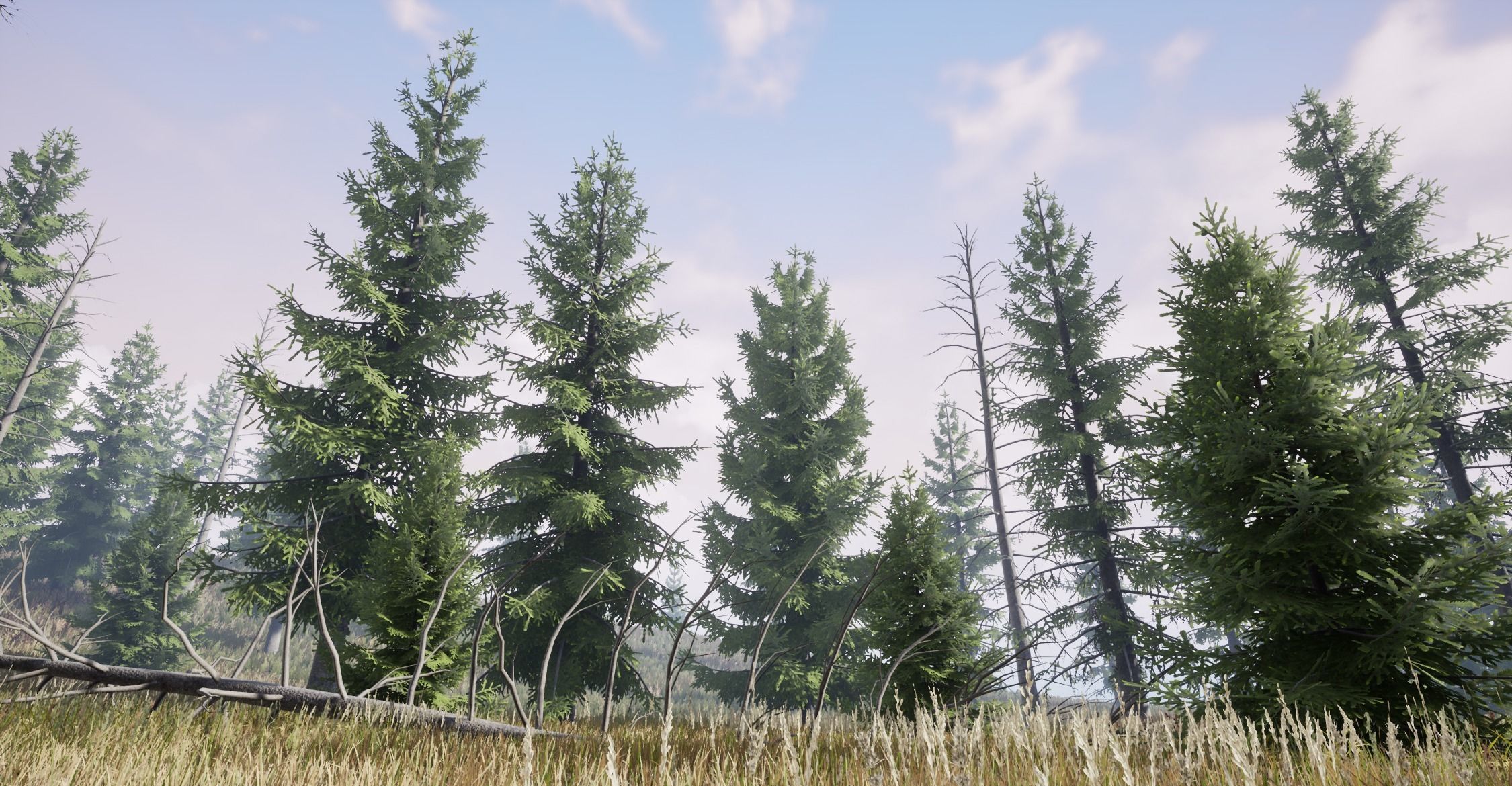 Realistic Spruce Fir Trees for games Low-poly 3D model_2
