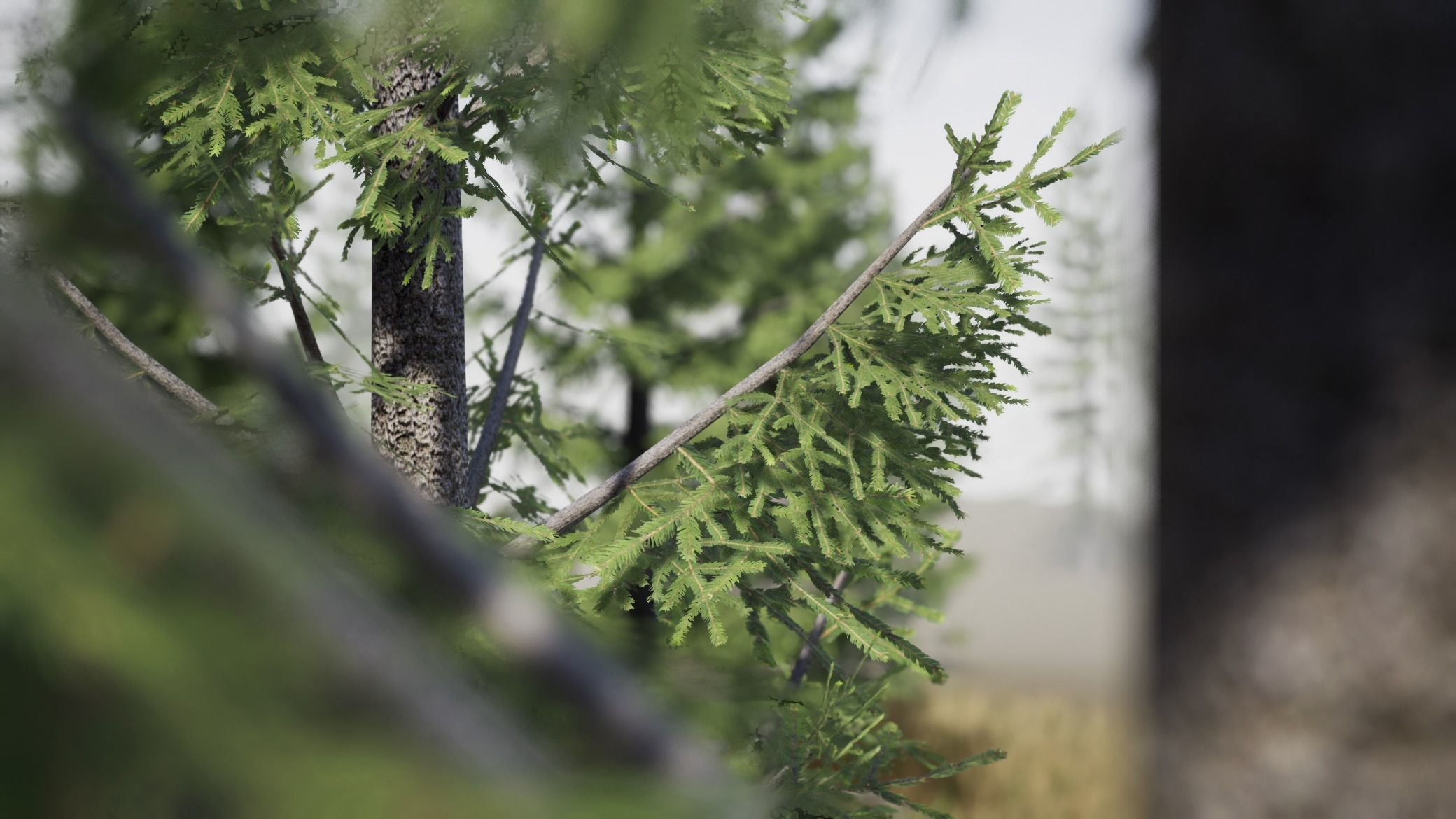 Realistic Spruce Fir Trees for games Low-poly 3D model_4