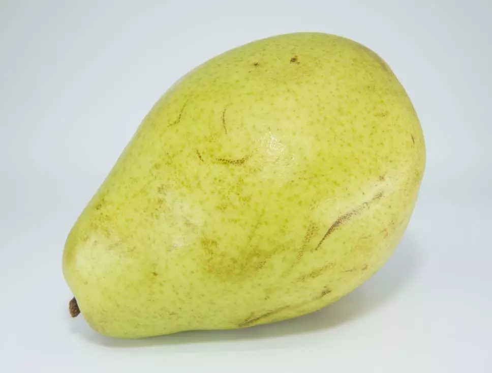 Realistic - Pear Low-poly 3D model_0
