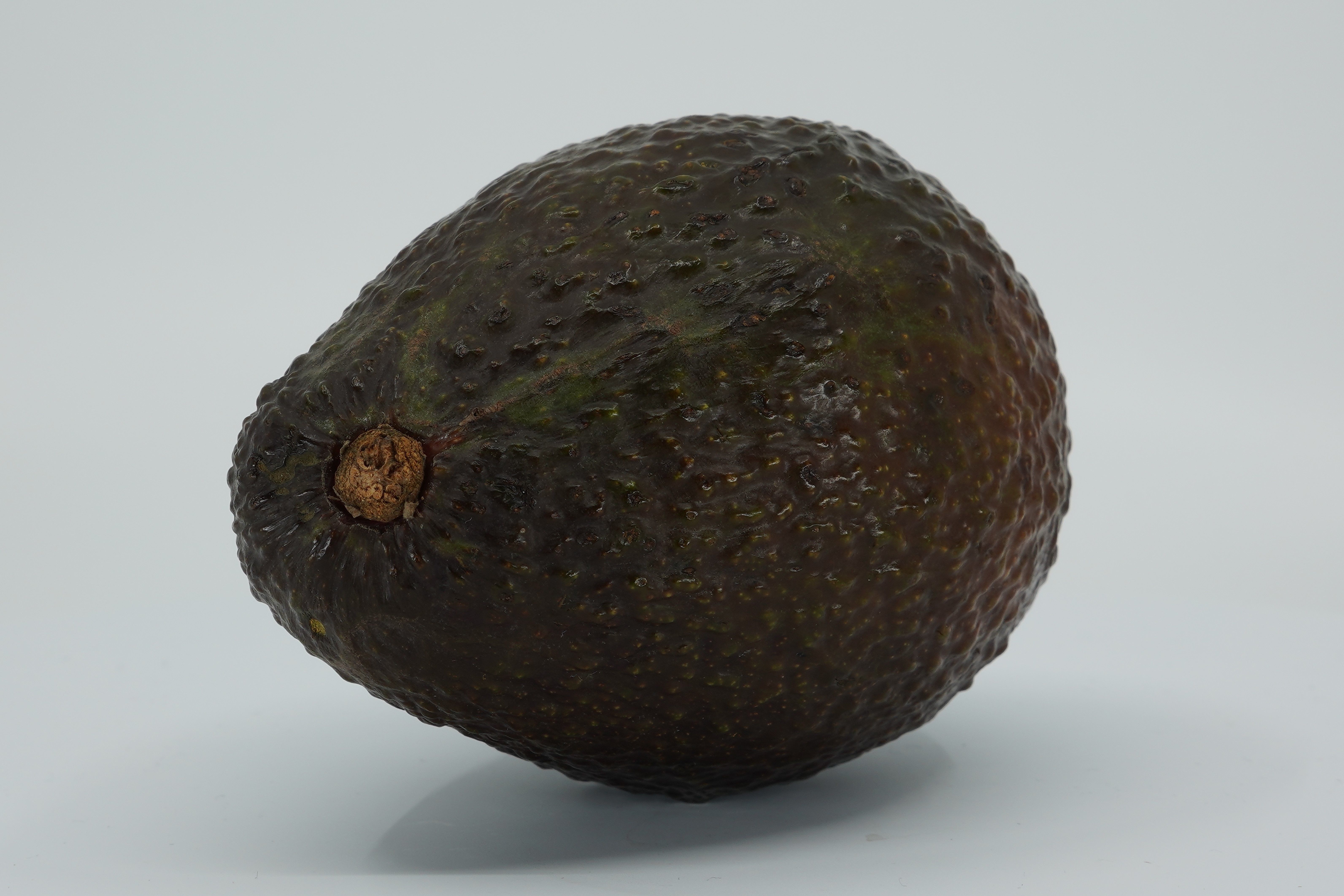 Realistic - Fruit apple 3D Model Collection_1