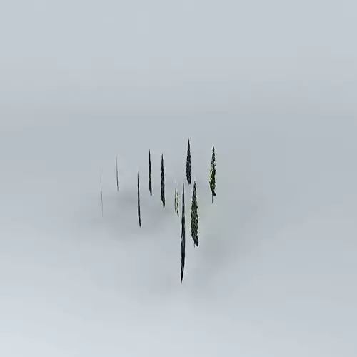 Trees group of sticks 3D model