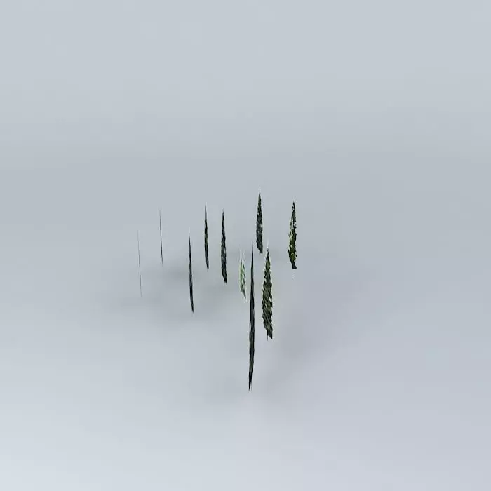 Trees group of sticks 3D model_0