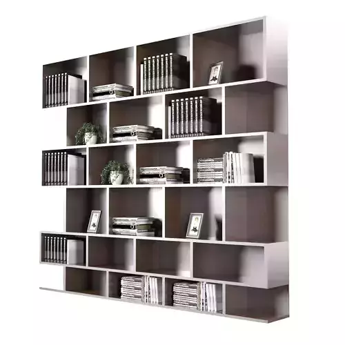 3D book shelves