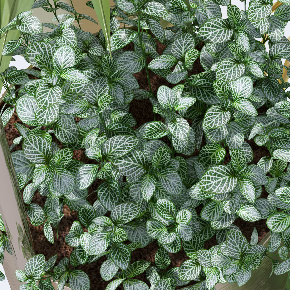 Plant in metal hanging pots 3D model_10