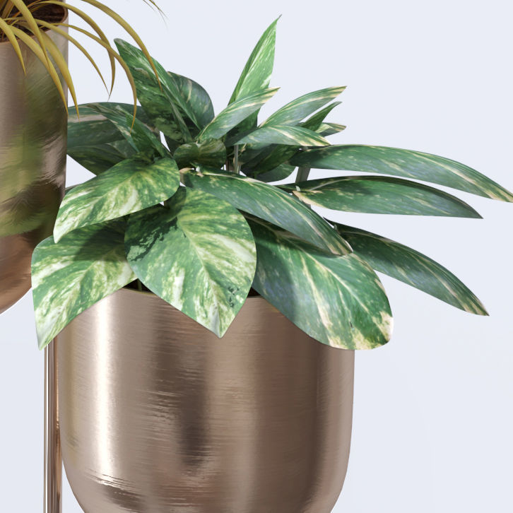 Plant in metal hanging pots 3D model_19
