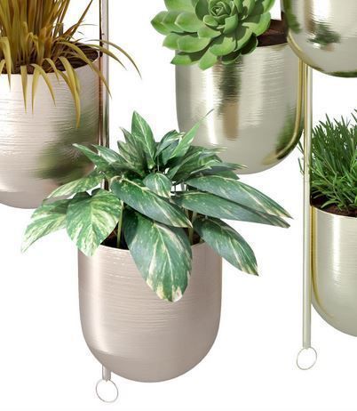 Plant in metal hanging pots 3D model_14