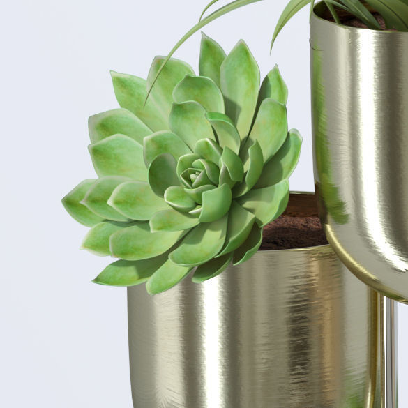 Plant in metal hanging pots 3D model_18