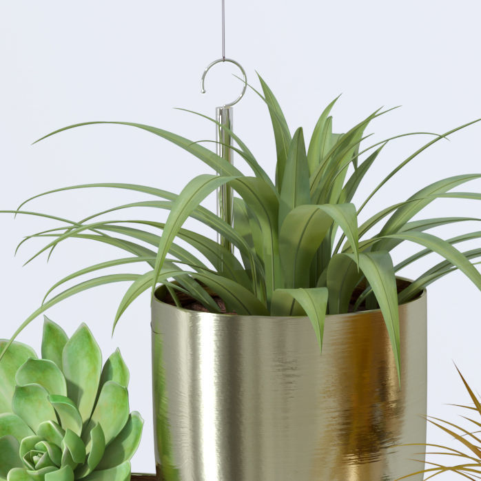 Plant in metal hanging pots 3D model_6