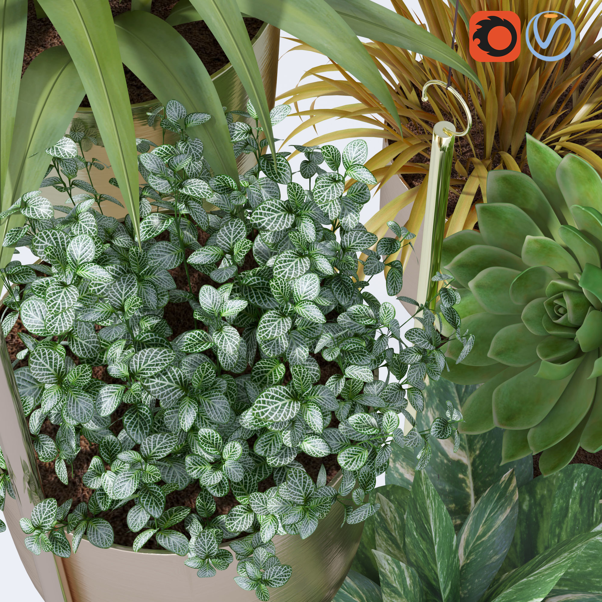 Plant in metal hanging pots 3D model_21