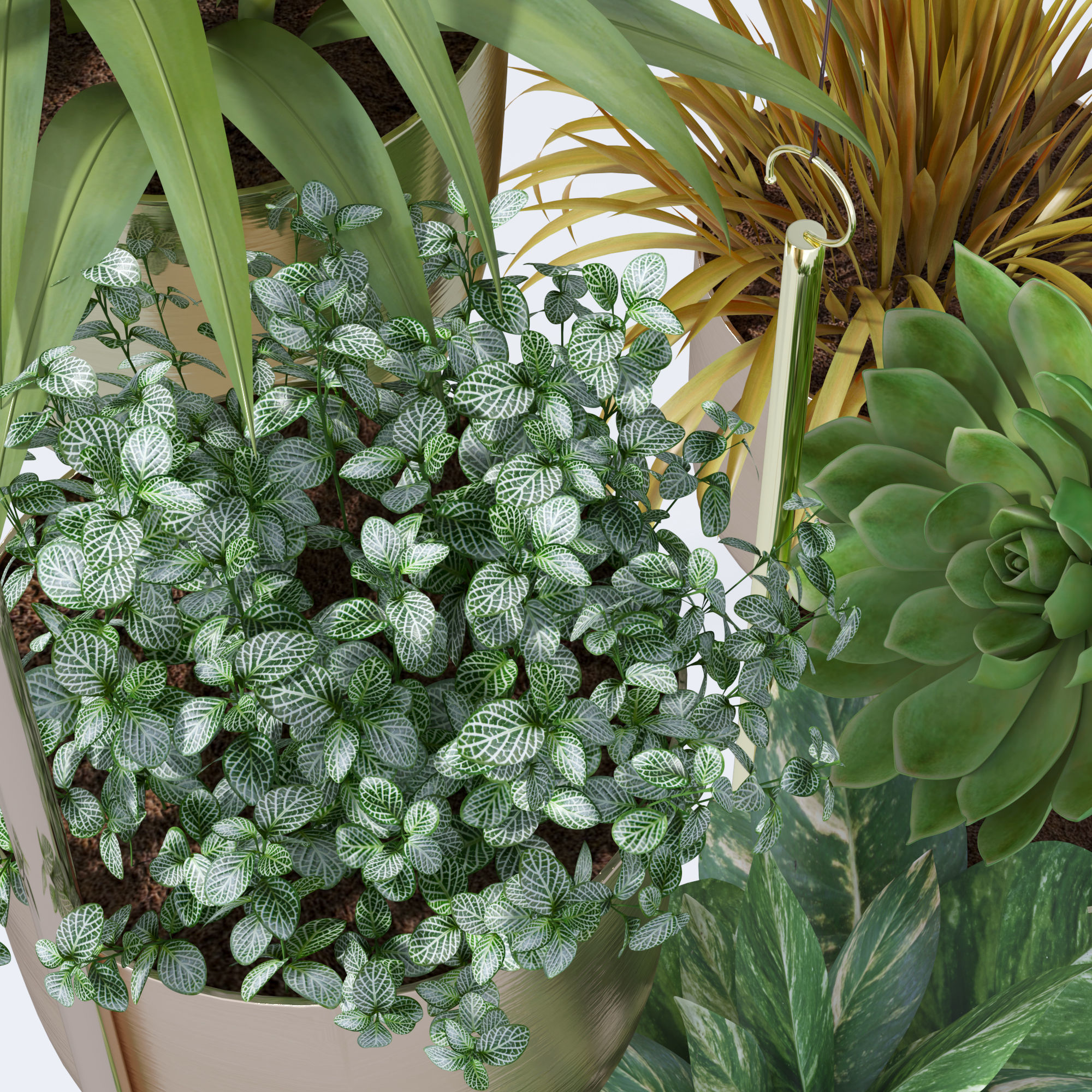 Plant in metal hanging pots 3D model_22