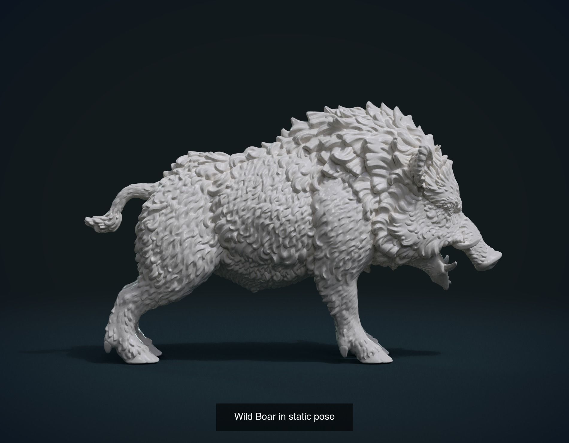 Wild Boar Collection _4