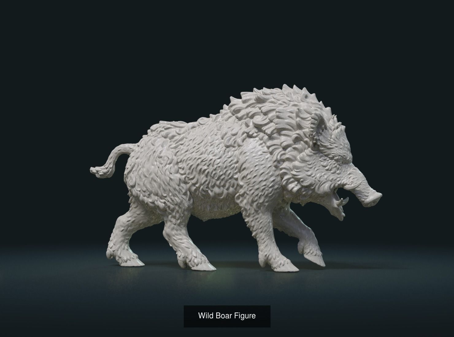 Wild Boar Collection _3