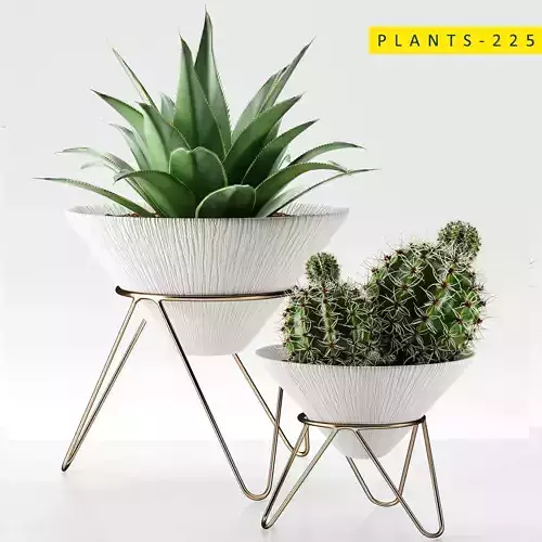 PLANTS 225