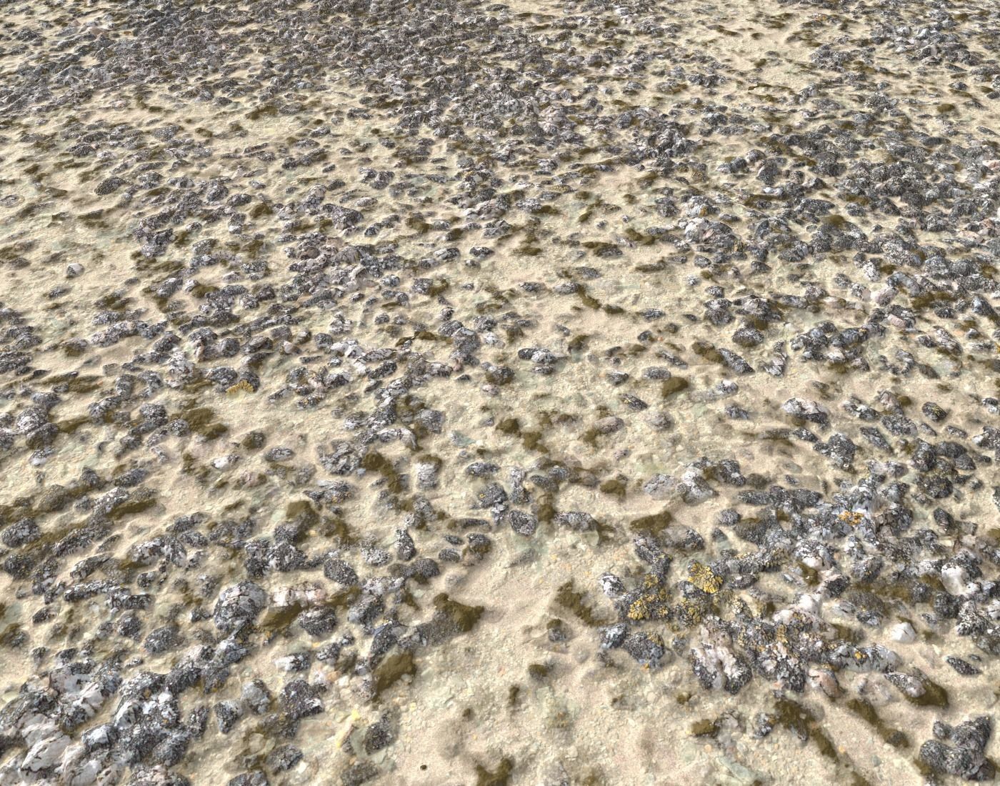 Sand and Gravel Seamless Pack PBR Texture_3