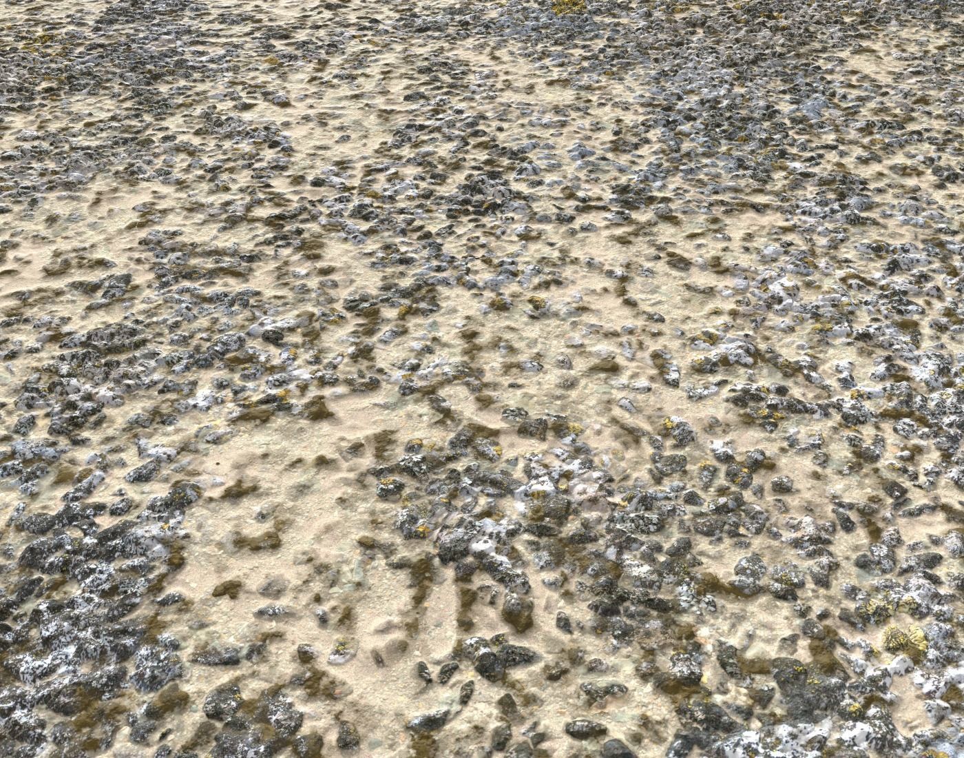 Sand and Gravel Seamless Pack PBR Texture_6