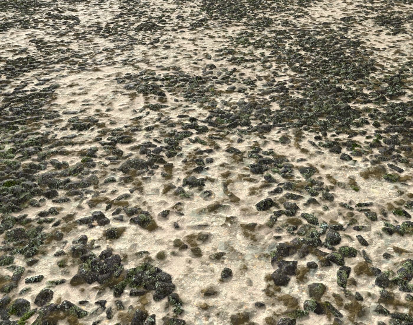 Sand and Gravel Seamless Pack PBR Texture_13