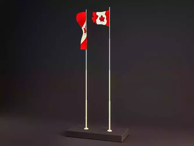 Flag with Animation Low-poly 3D model