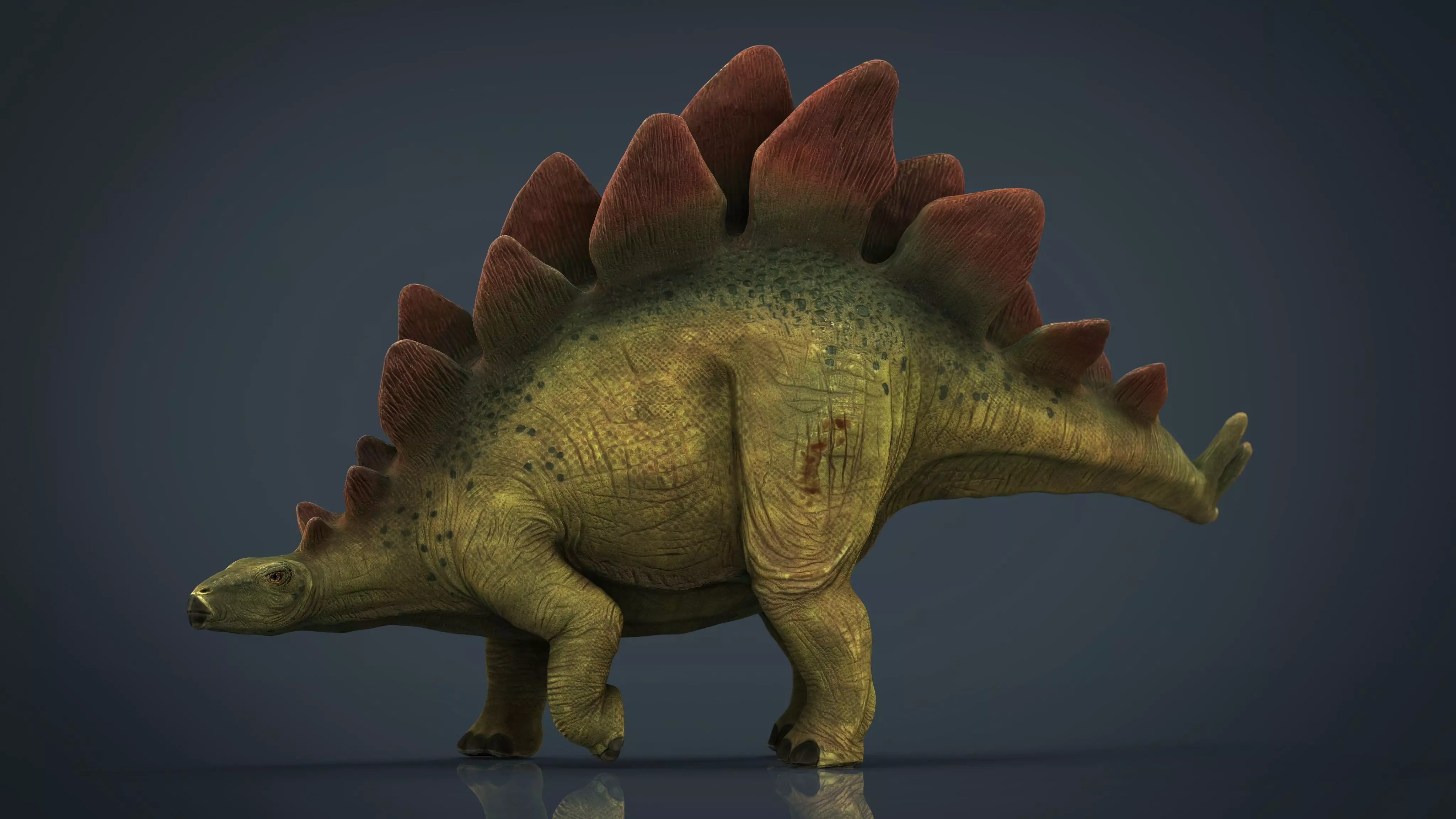 Stegosaurus dinosaur Low-poly 3D model_0