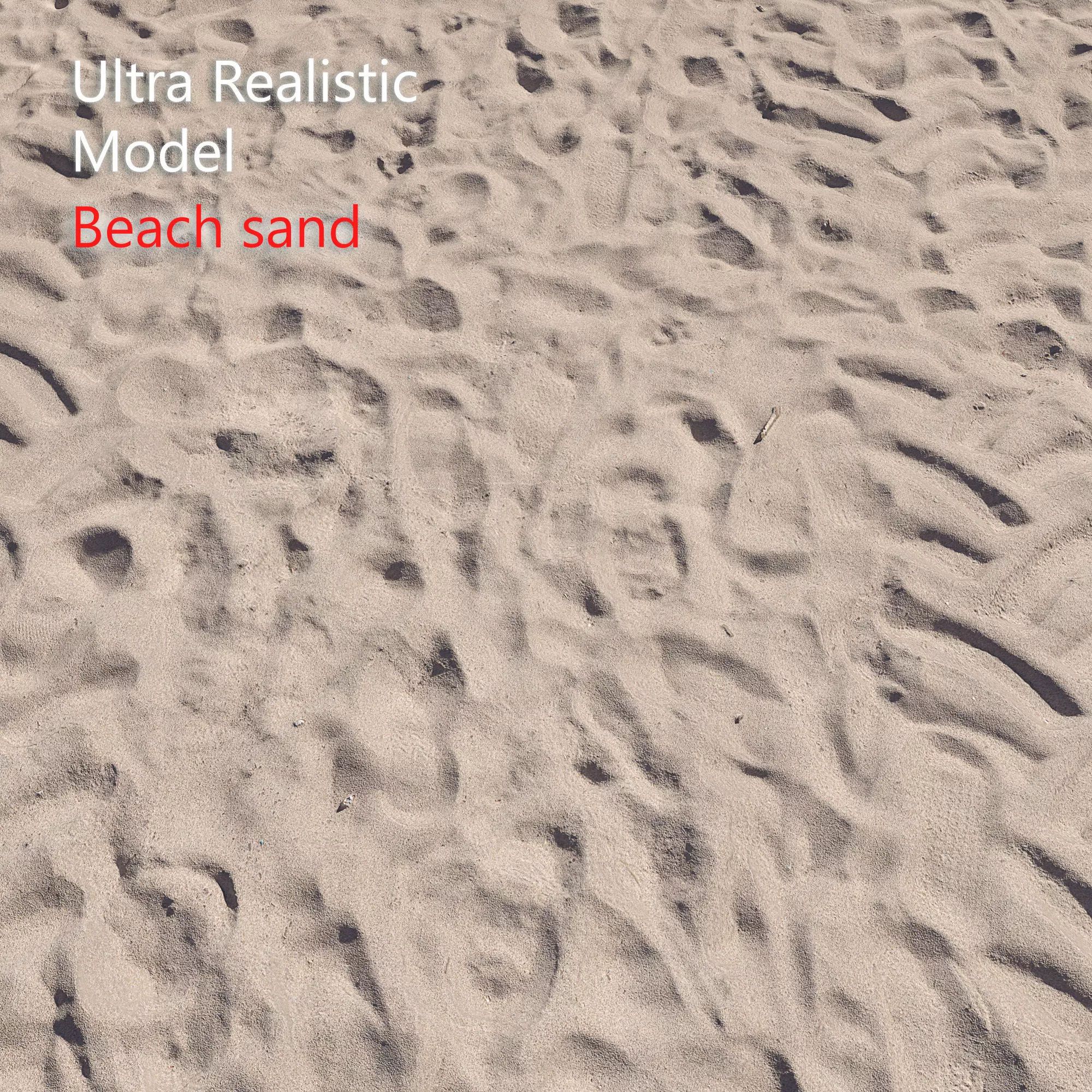 Beach sand Scan 3D model_0