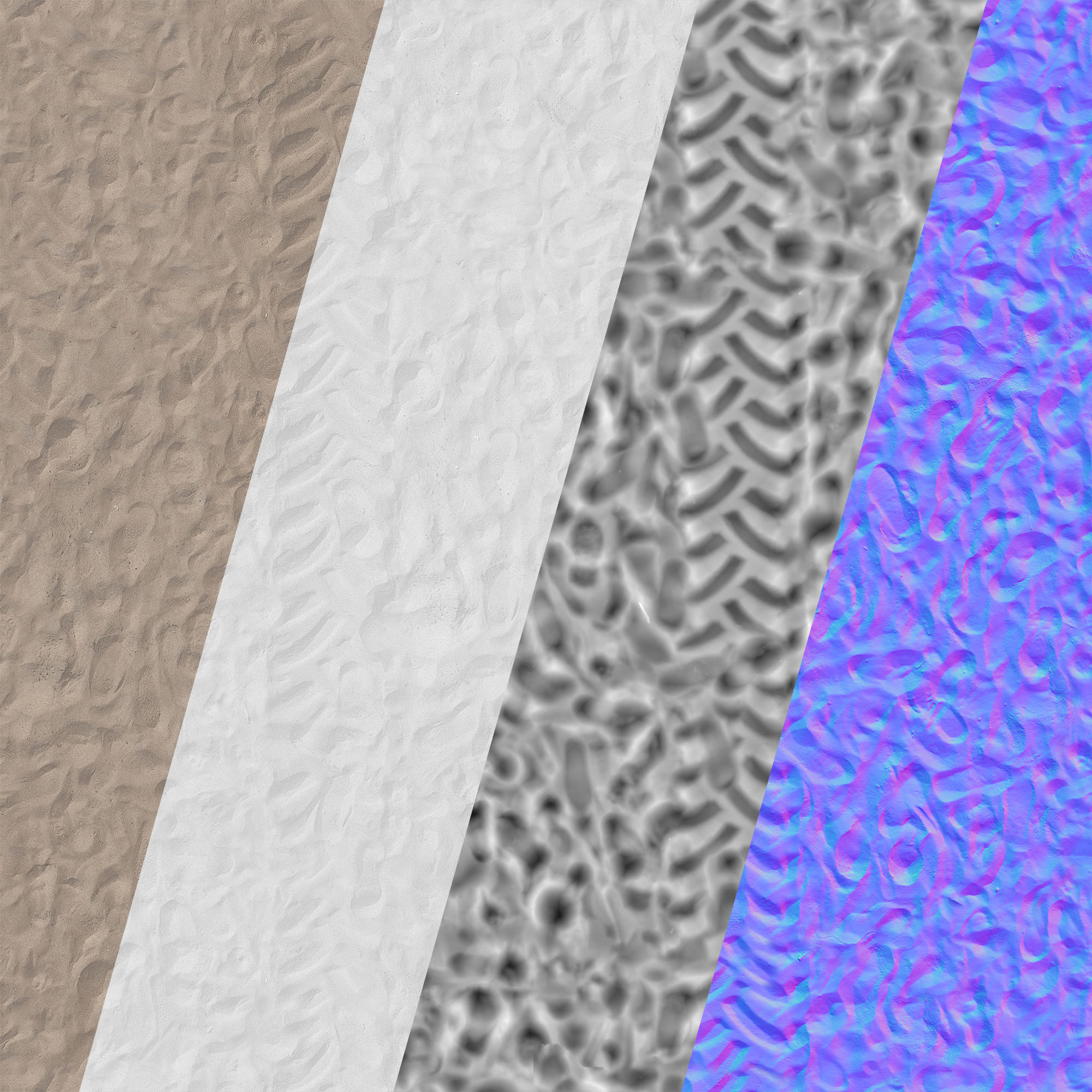 Beach sand Scan 3D model_8