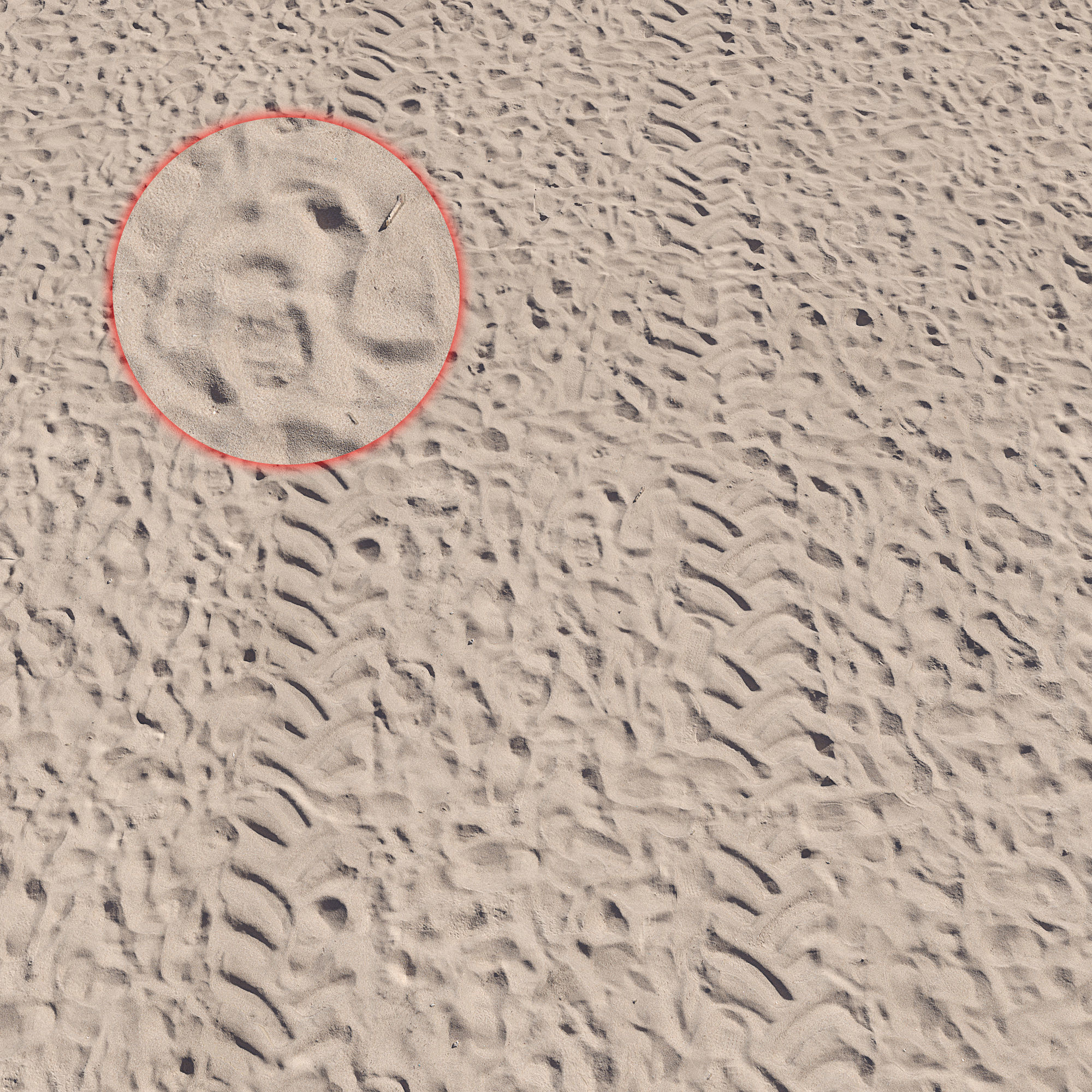 Beach sand Scan 3D model_1