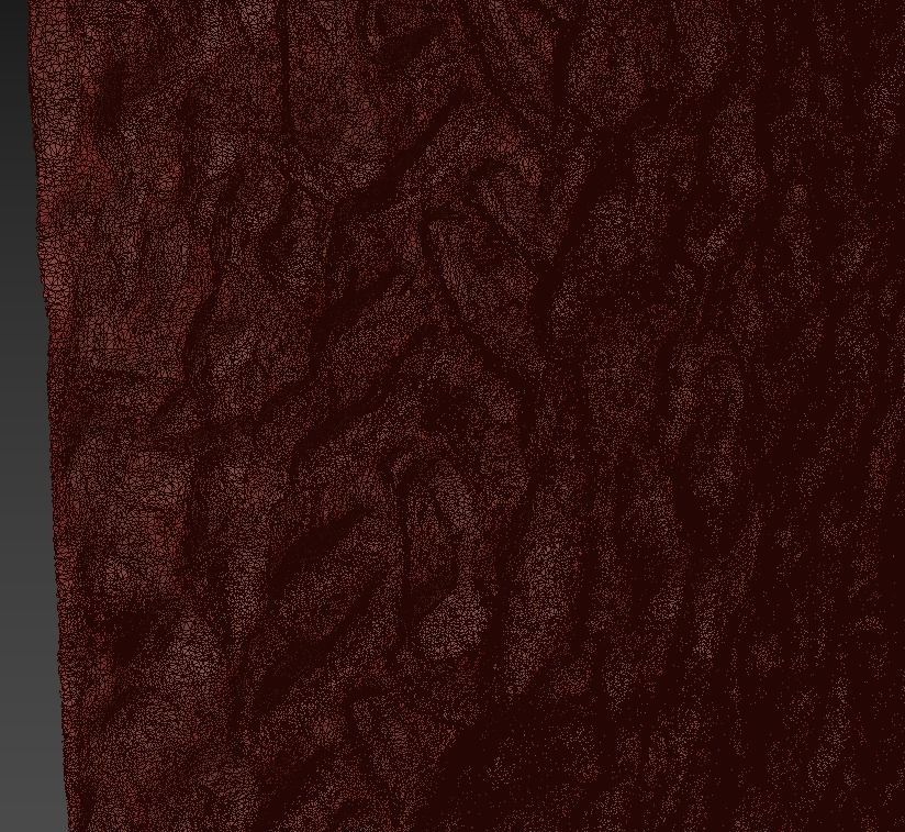 Beach sand Scan 3D model_7