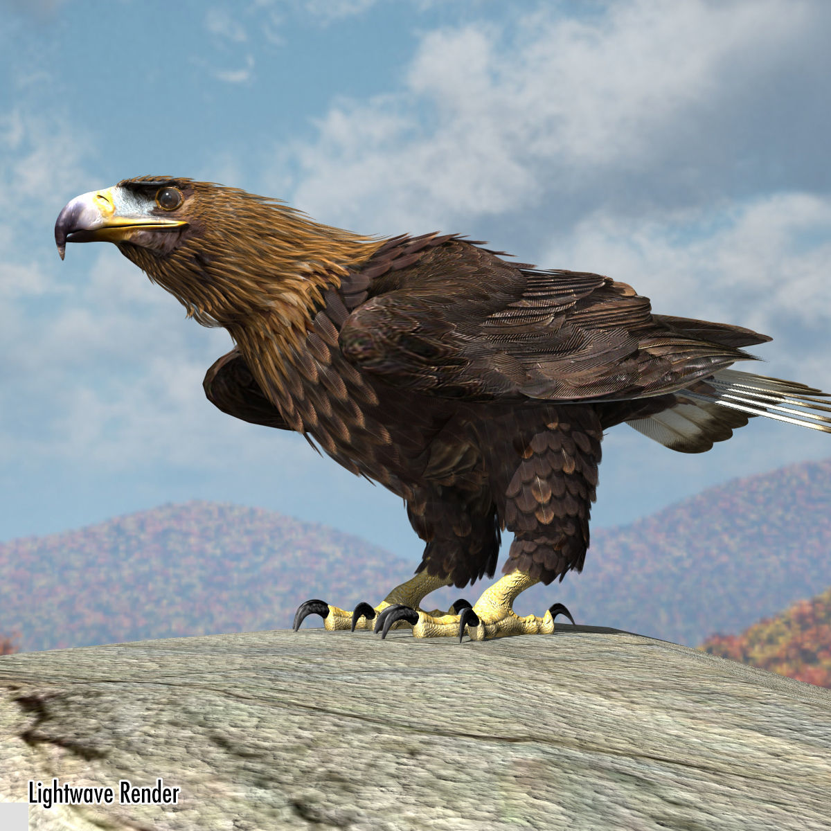 Golden Eagle - rigged - animated standard PBR VRAY 3D model_12