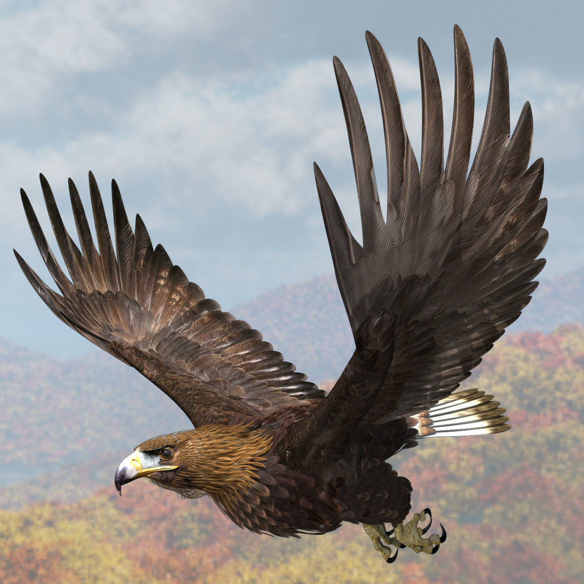Golden Eagle - rigged - animated standard PBR VRAY 3D model_4