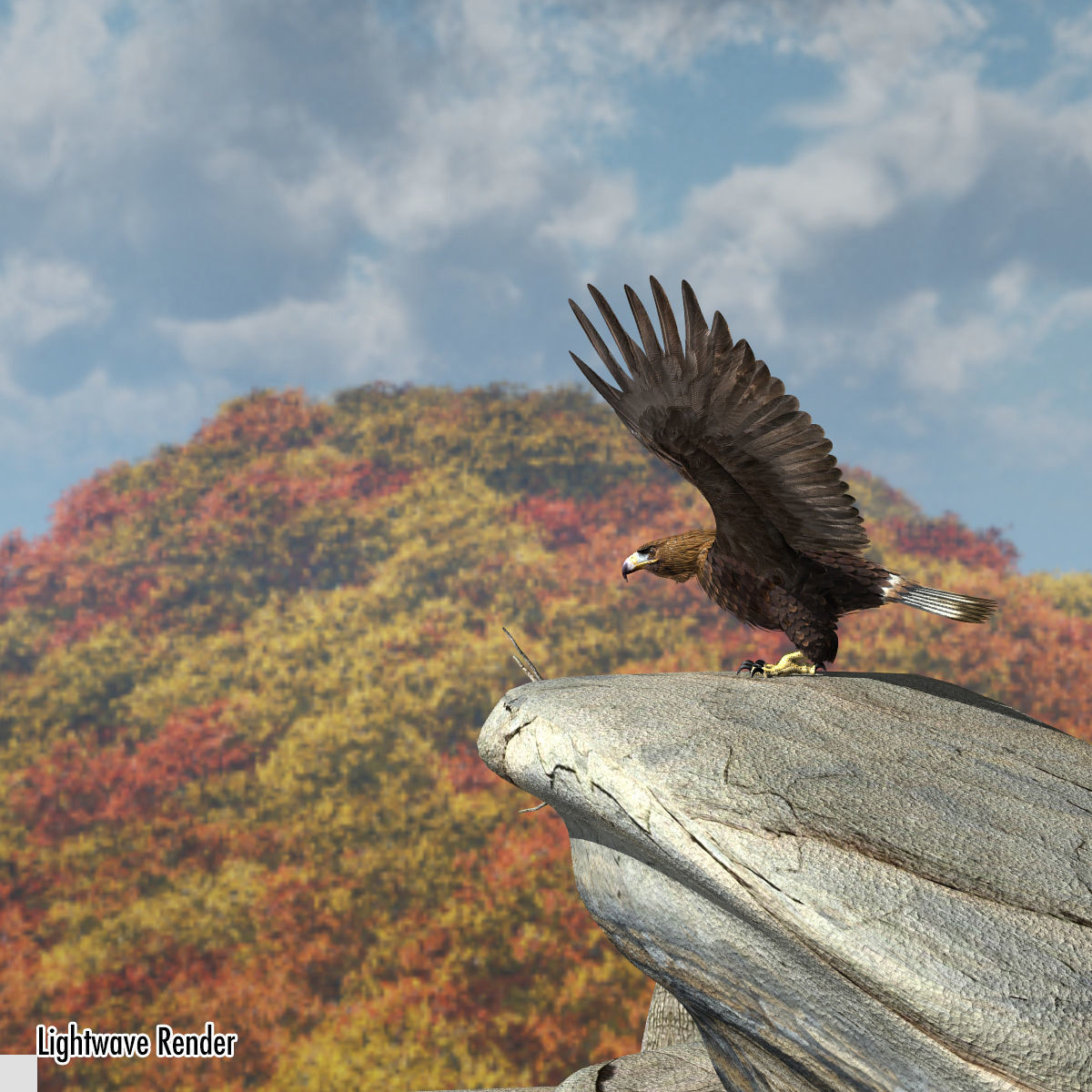 Golden Eagle - rigged - animated standard PBR VRAY 3D model_9