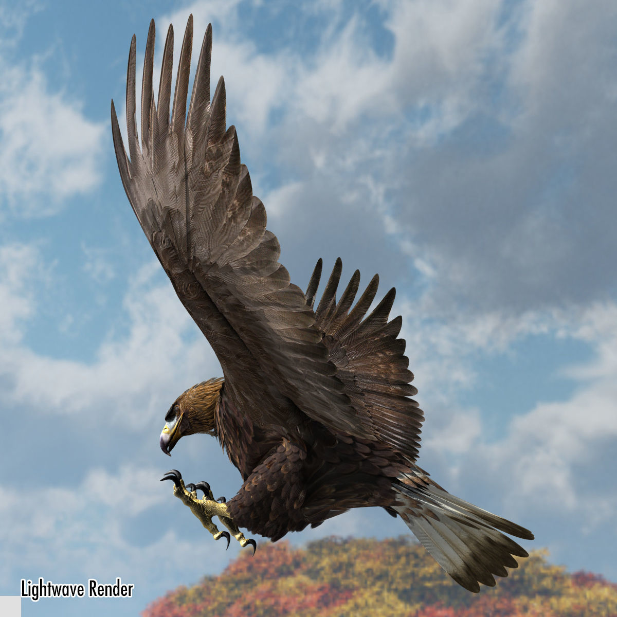 Golden Eagle - rigged - animated standard PBR VRAY 3D model_21