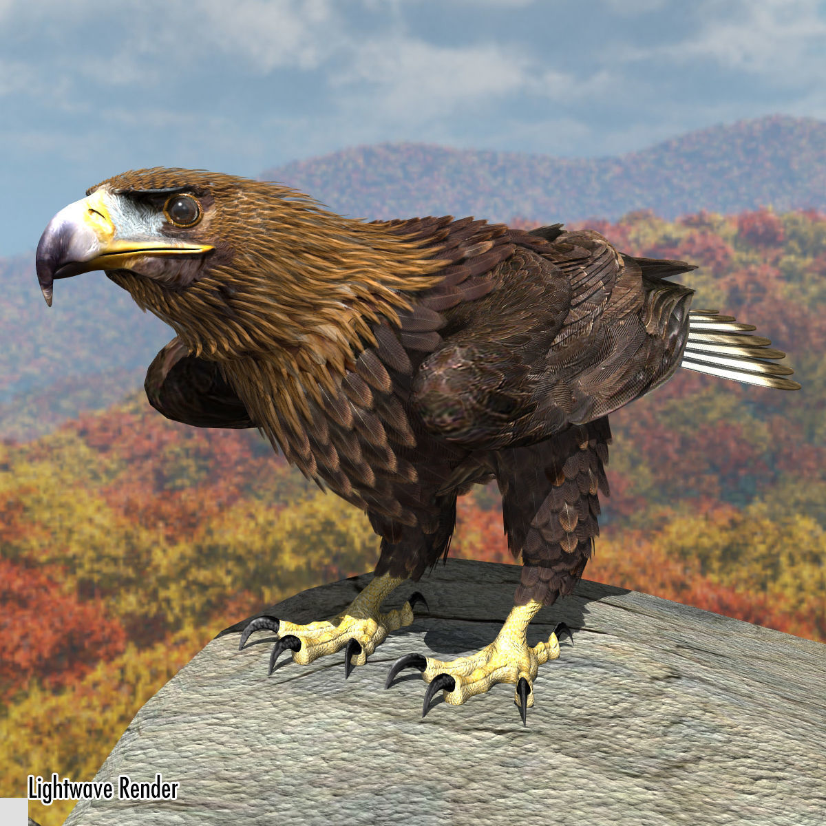 Golden Eagle - rigged - animated standard PBR VRAY 3D model_17
