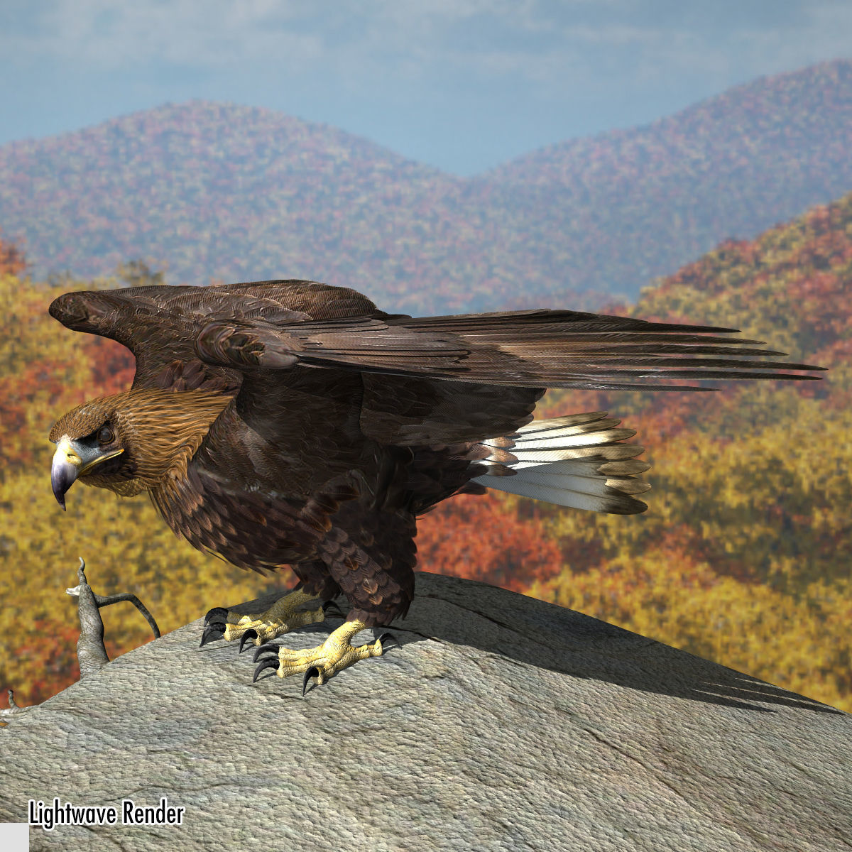 Golden Eagle - rigged - animated standard PBR VRAY 3D model_8