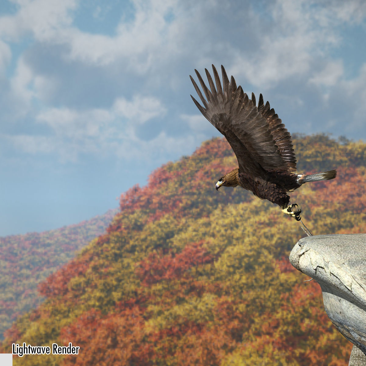 Golden Eagle - rigged - animated standard PBR VRAY 3D model_10
