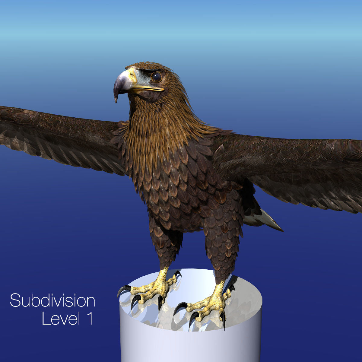 Golden Eagle - rigged - animated standard PBR VRAY 3D model_27