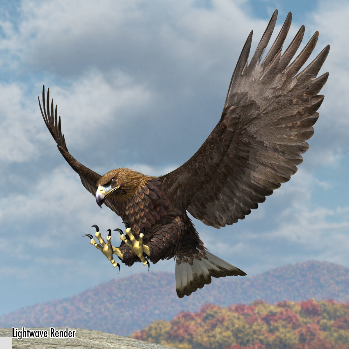 Golden Eagle - rigged - animated standard PBR VRAY 3D model_11