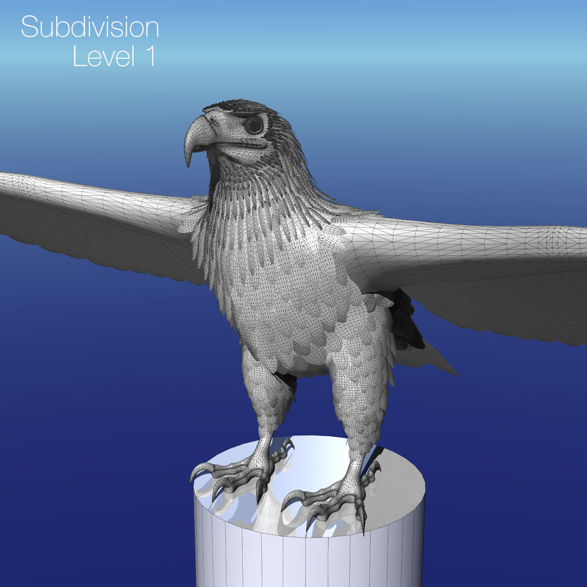 Golden Eagle - rigged - animated standard PBR VRAY 3D model_28