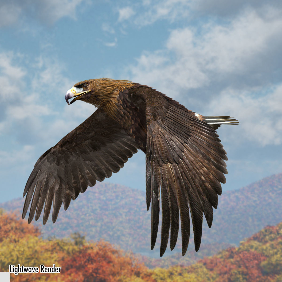 Golden Eagle - rigged - animated standard PBR VRAY 3D model_15
