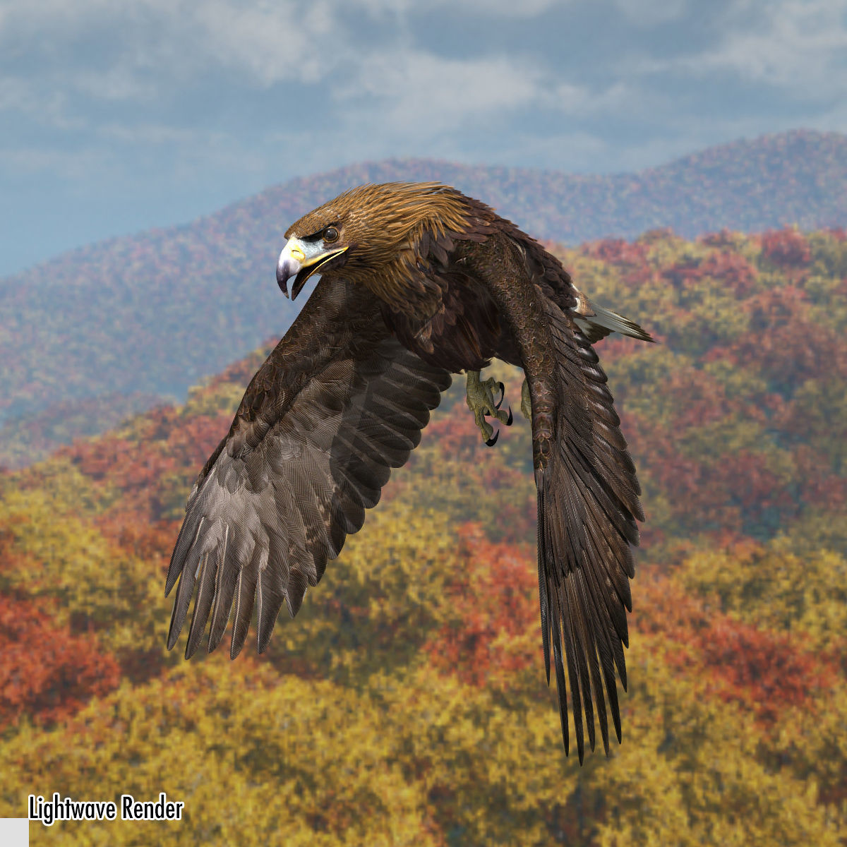 Golden Eagle - rigged - animated standard PBR VRAY 3D model_5